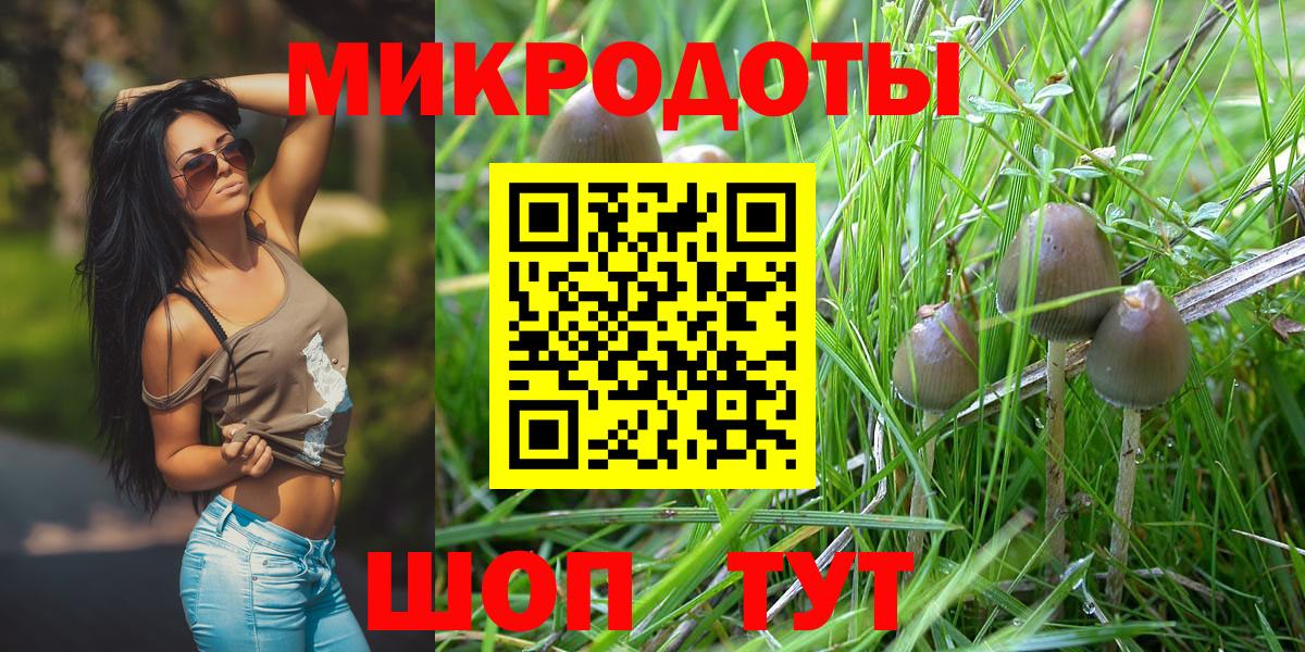 Псилоцибиновые грибы прущие грибы Отрадный