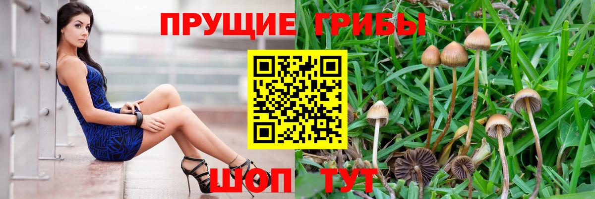 Галлюциногенные грибы прущие грибы  Вход с VPN  Отрадный 